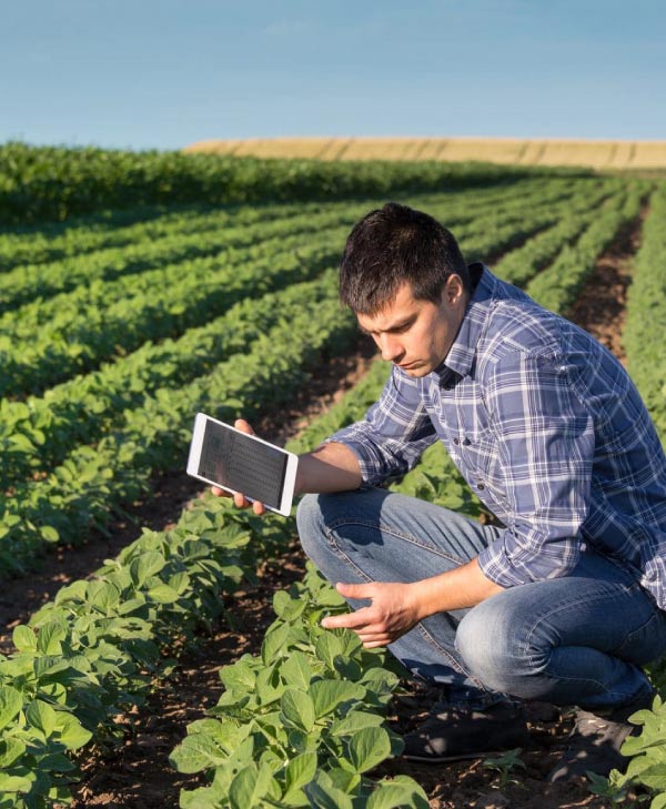 La ruta del emprendedor guatemalteco | Universidad da Vinci de Guatemala