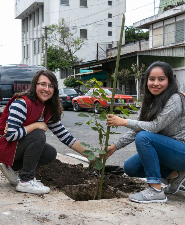 Somos parte de la innovación en zona 4 | Universidad da Vinci de Guatemala