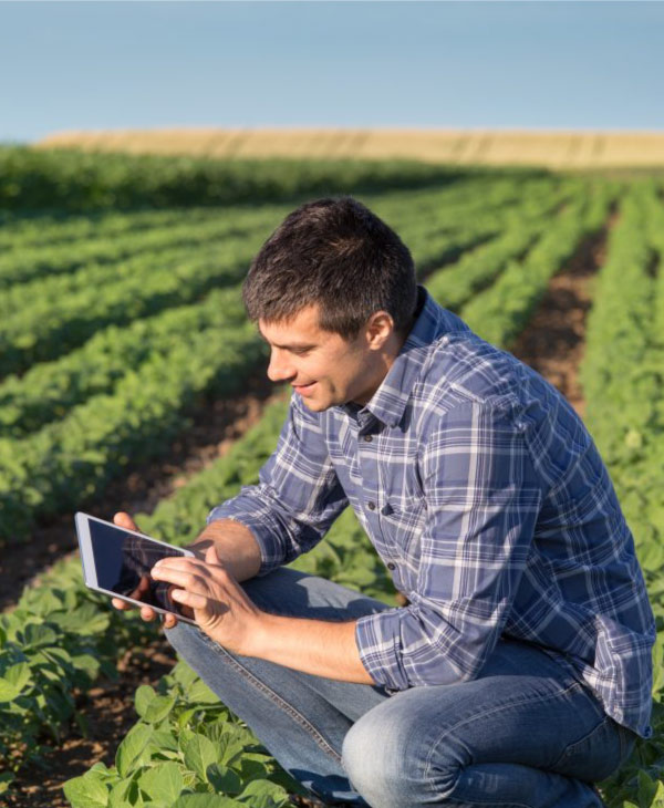 La importancia de la Agronomía en la Economía Mundial | Universidad da Vinci de Guatemala