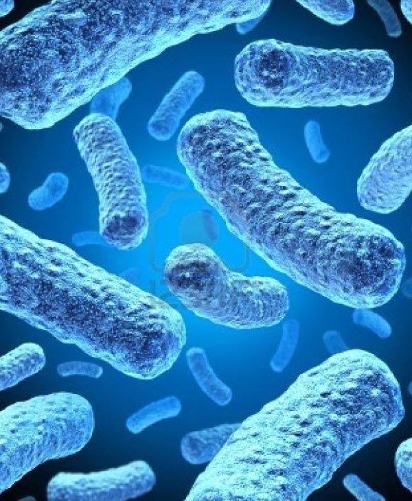 Bacterias que producen combustible renovable | Universidad da Vinci de Guatemala