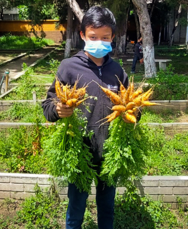 Sede Quetzaltenango continúa liderando el proyecto Huertos Escolares | Universidad da Vinci de Guatemala