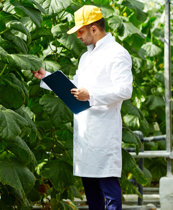 ¿Conoces la Importancia de Estudiar Ingeniería Agronómica? | Universidad da Vinci de Guatemala