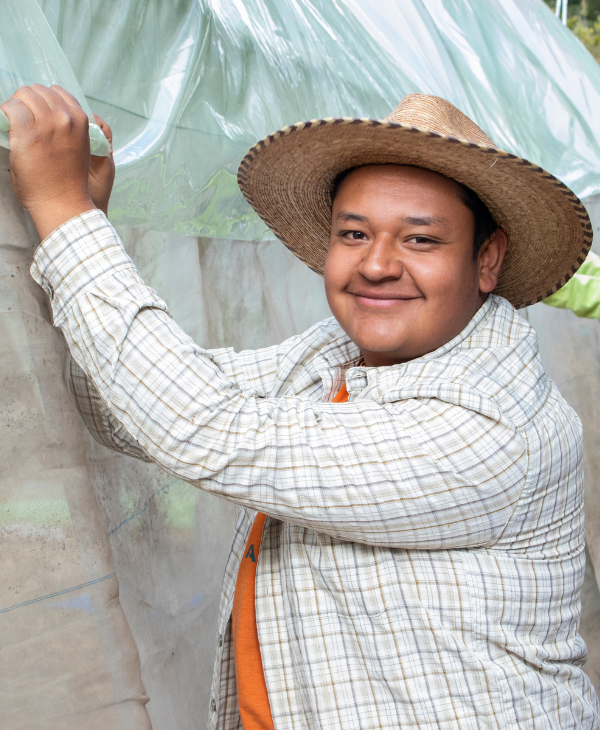 Alumnos de la facultad de Ciencias Agronómicas realizan práctica de Forrado de Invernadero en Sede Quetzaltenango | Universidad da Vinci de Guatemala