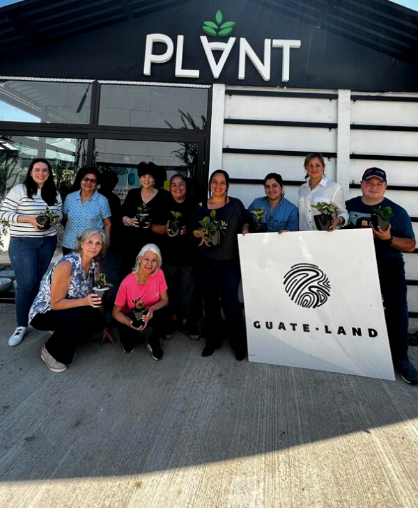 ¡Únete al Curso Libre en Diseño de Jardines Interiores Guatemaltecos! | Universidad da Vinci de Guatemala