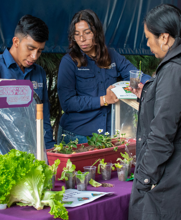 Primera Feria Agronómica | Universidad da Vinci de Guatemala